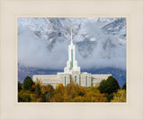 Mt. Timpanogos Hillside