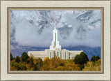 Mt. Timpanogos Hillside