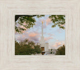 Denver Temple 01