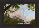 Denver Temple 01