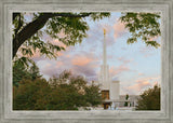 Denver Temple 01