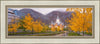 Provo CC Fall Morning