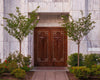 Portland Doors