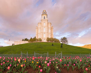 Manti Mount of Zion