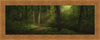 Sacred Grove Large Art