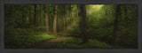 Sacred Grove Large Art