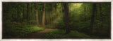 Sacred Grove Large Art