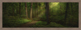 Sacred Grove Large Art