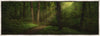 Sacred Grove Large Art