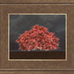 Tree of Life