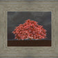 Tree of Life