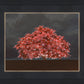 Tree of Life