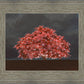 Tree of Life