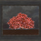 Tree of Life