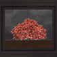 Tree of Life