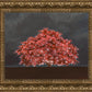 Tree of Life