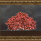 Tree of Life