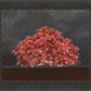 Tree of Life
