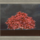 Tree of Life