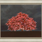 Tree of Life