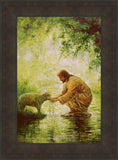 Gentle Shepherd