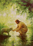 Gentle Shepherd