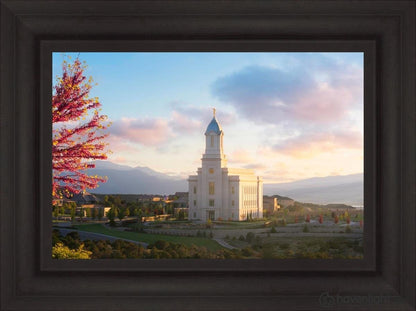 Cedar City Temple Time For Eternal Things Open Edition Canvas / 24 X 16 Frame A 23 3/4 31 Art