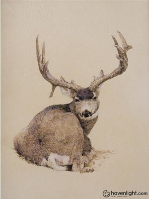 Mule Deer 2 Art